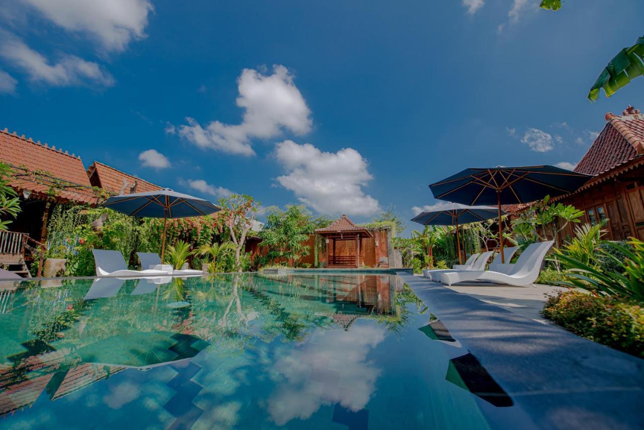 Moson Villa *