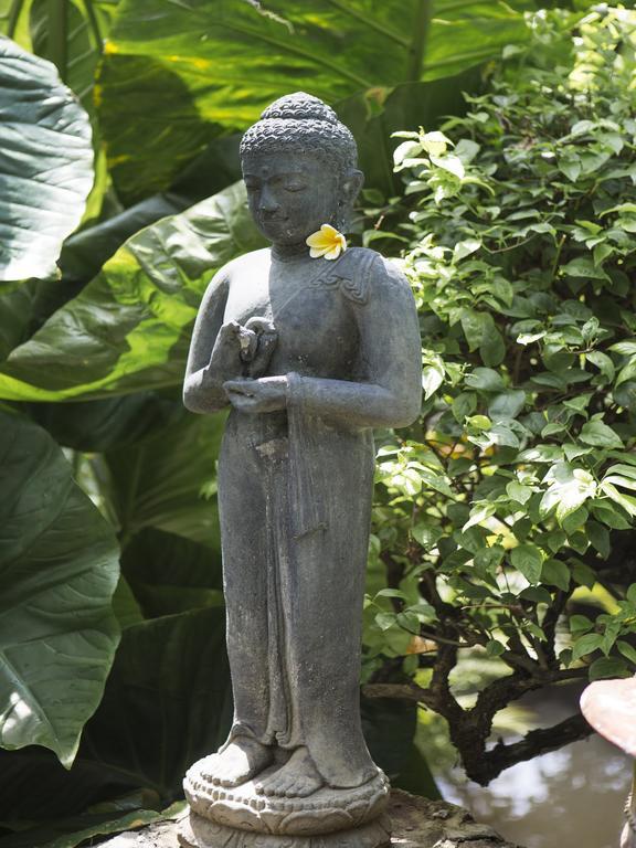 Bali - Layla *
