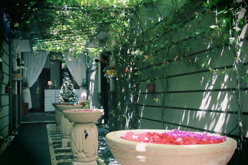 The Nakula Villa