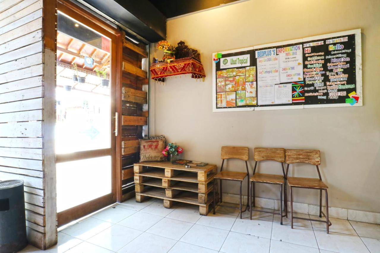 Bedplus Backpacker Kuta