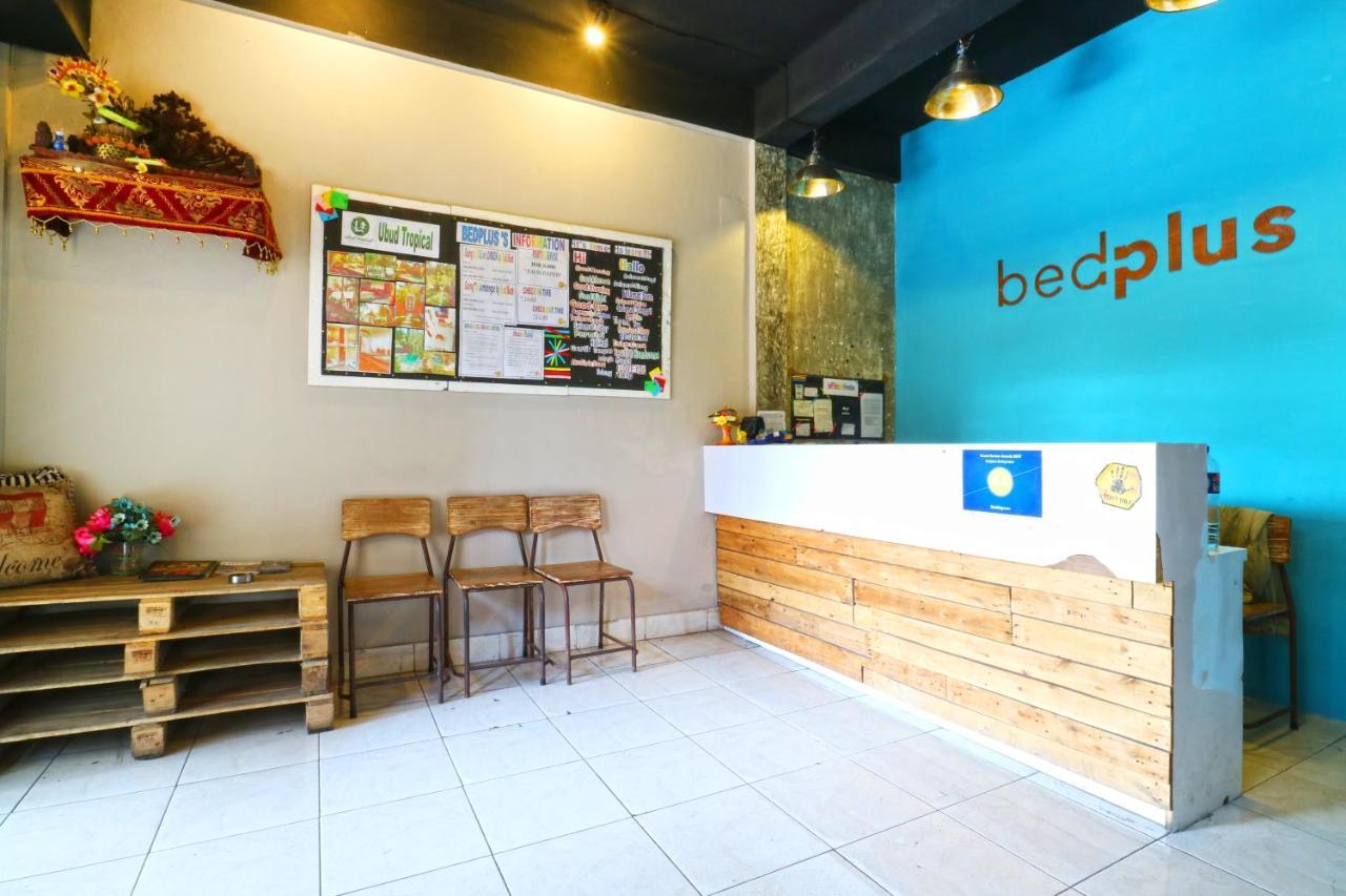 Bedplus Backpacker Kuta Hostel