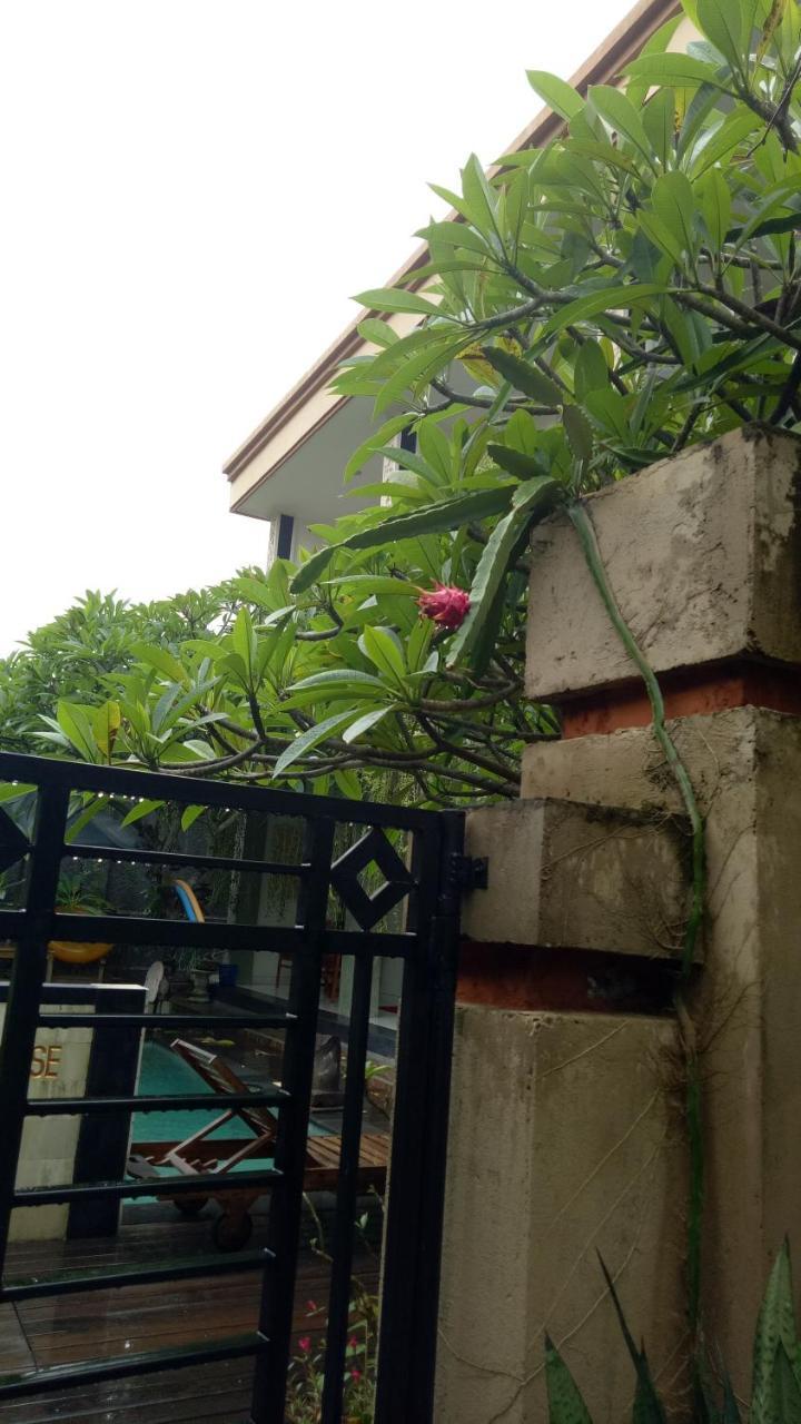 Hospedagem domiciliar Pujihouse One
