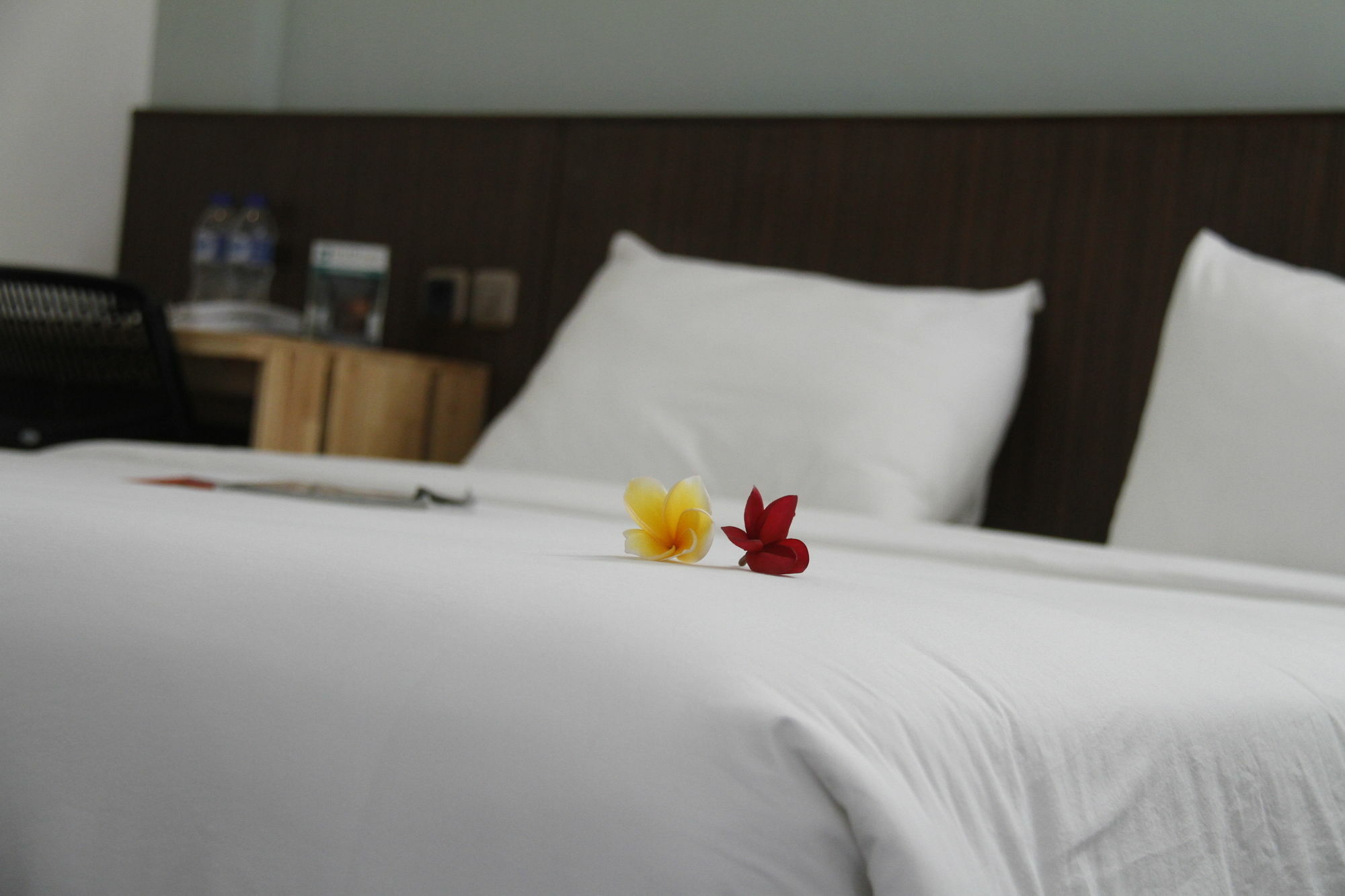 Duo Hotel 3*