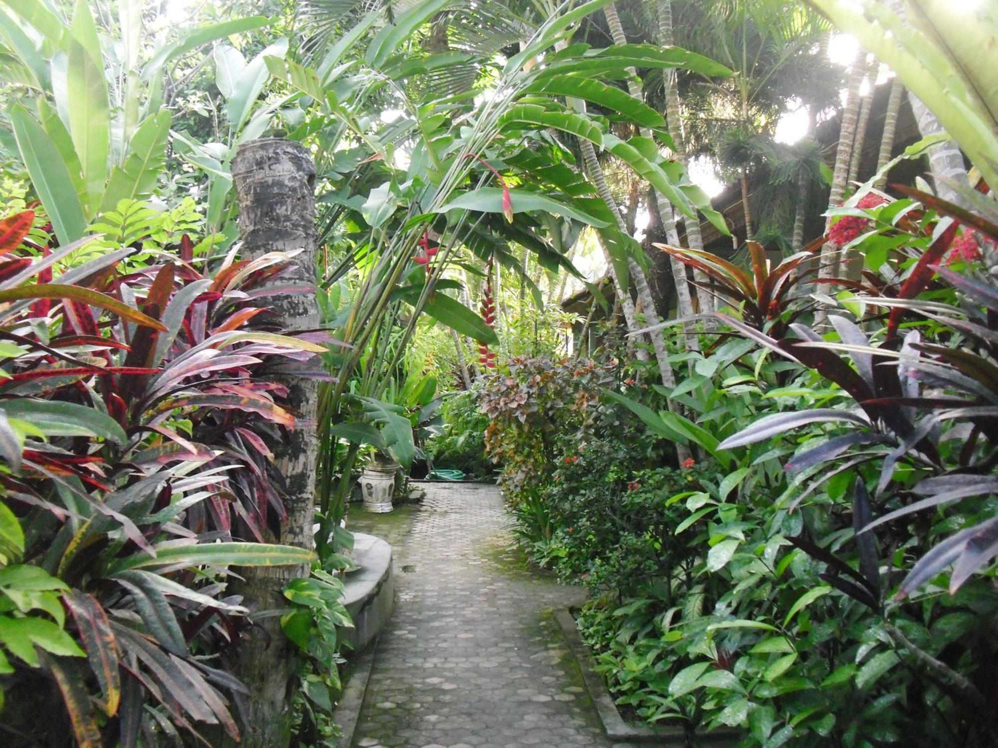 Casa de hóspedes Adus Legian
