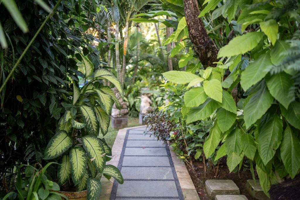 Villa Stunning 4br Oasis In