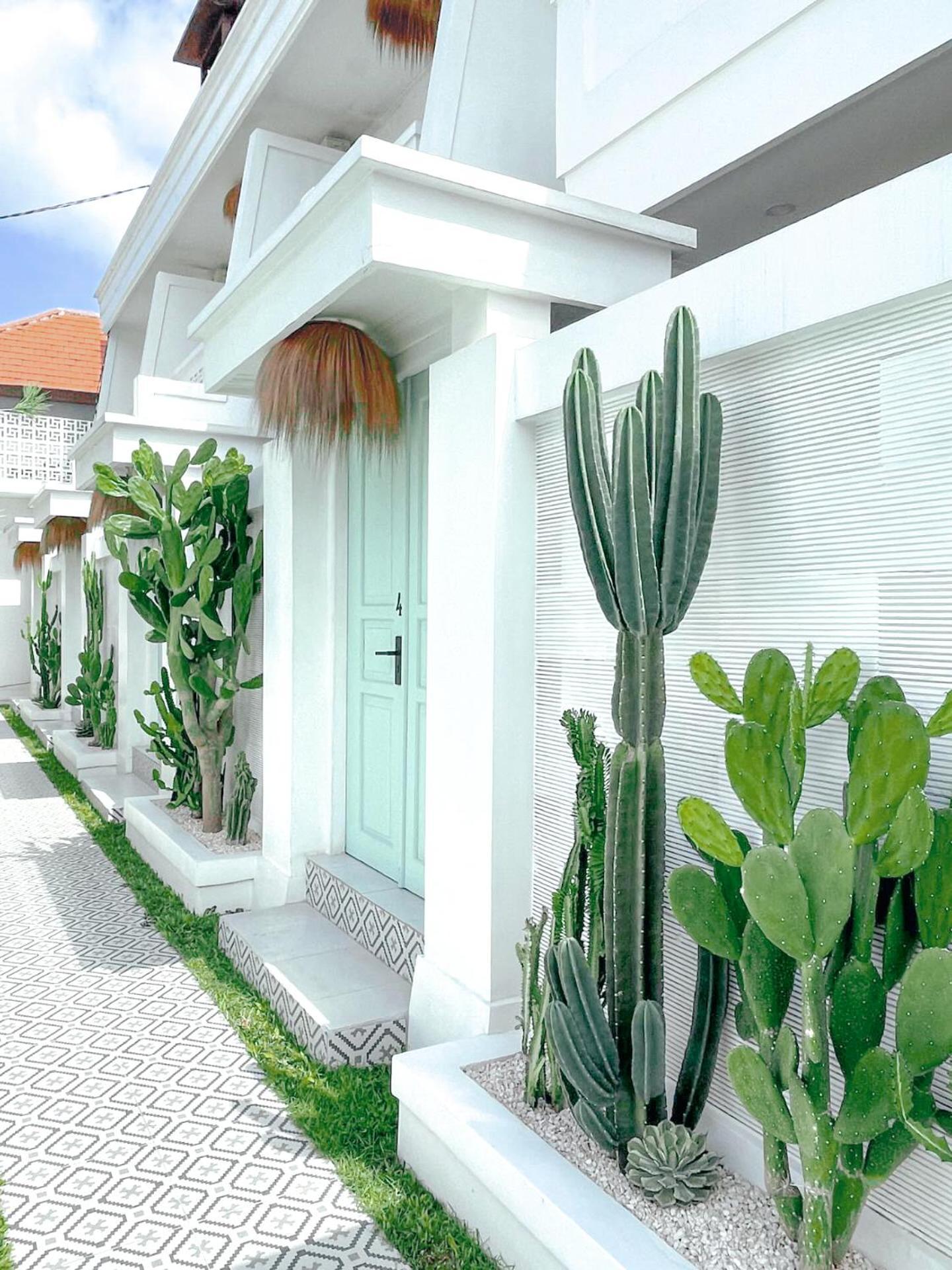 Kaktus Boutique Bali - Adults Only *