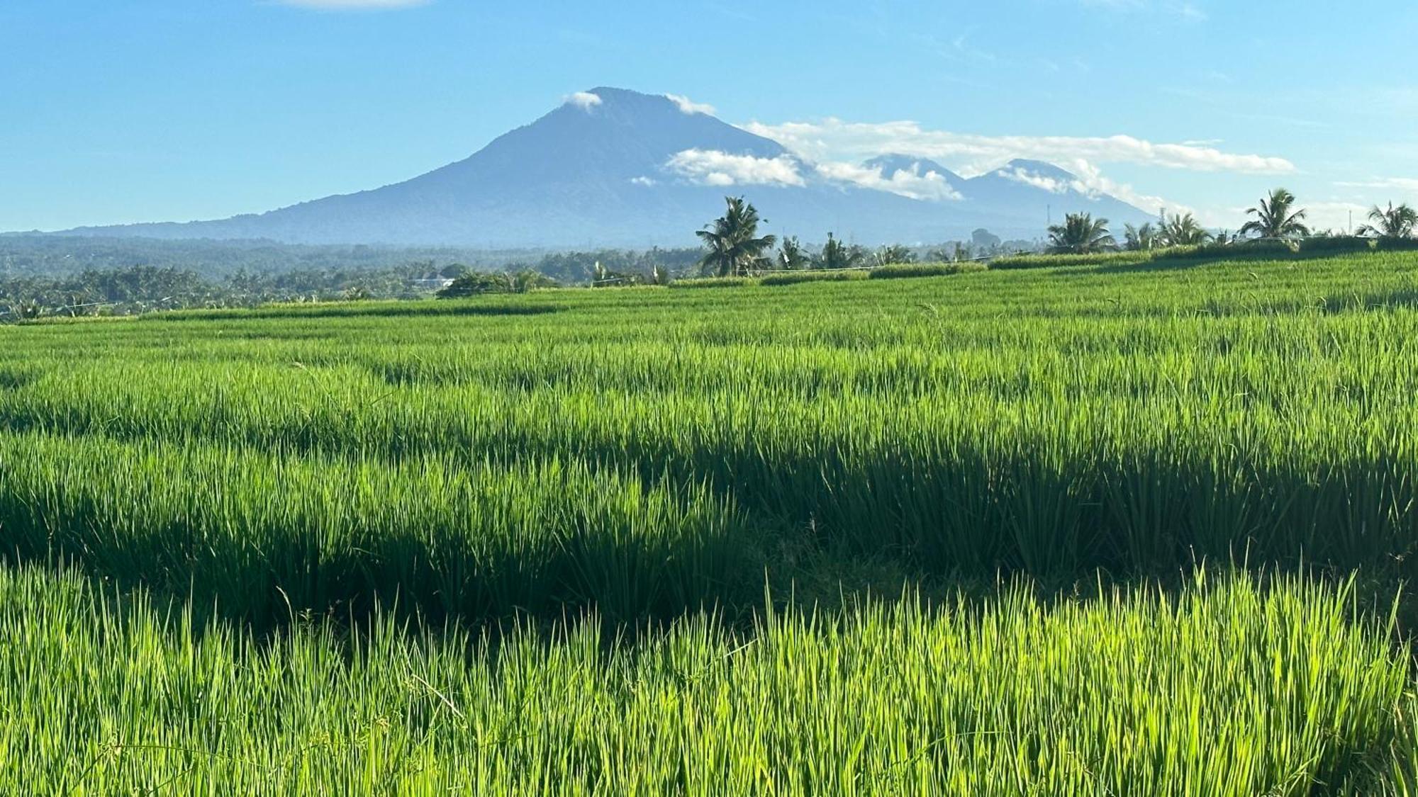 Tepi Sungai A Luxurious, Under New Management, 6 Bedroom 620 Sqm Retreat Featuring A Stunning 15 Meter Pool And Dedicated Childrens With 4 Bunk Beds Newly Renovated In Seminyak Villa Legian (Bali)