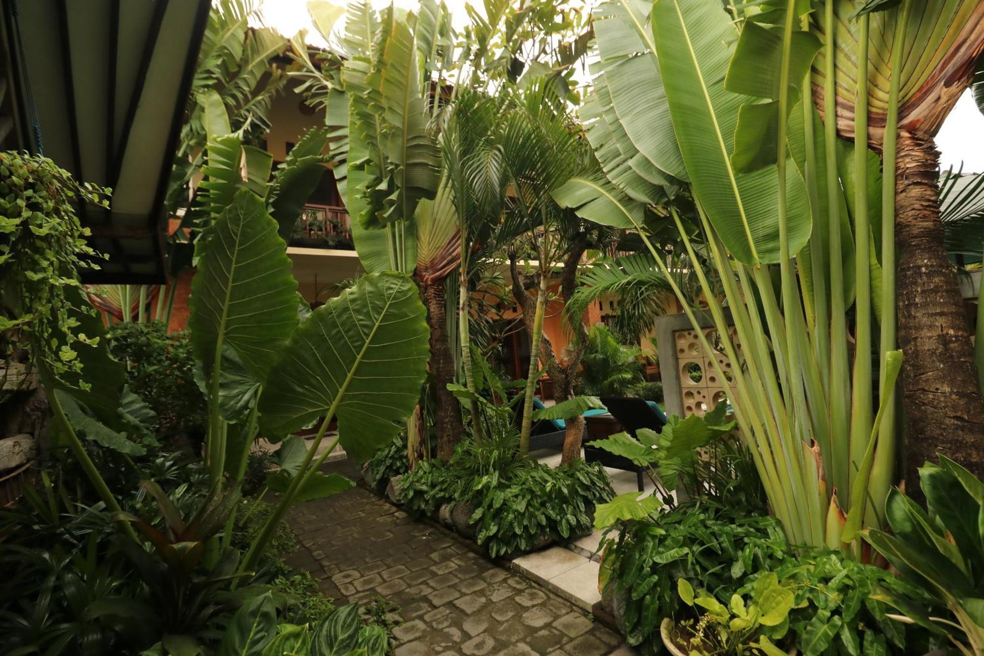 Hotel Pelasa Legian (Bali)
