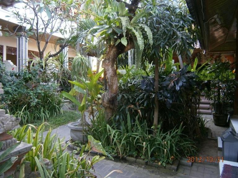 Casa de hóspedes Adus 2*