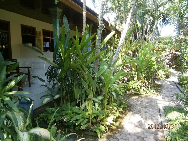 Casa de hóspedes Adus