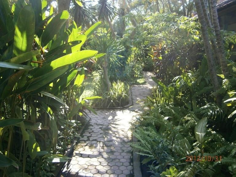Casa de hóspedes Adus