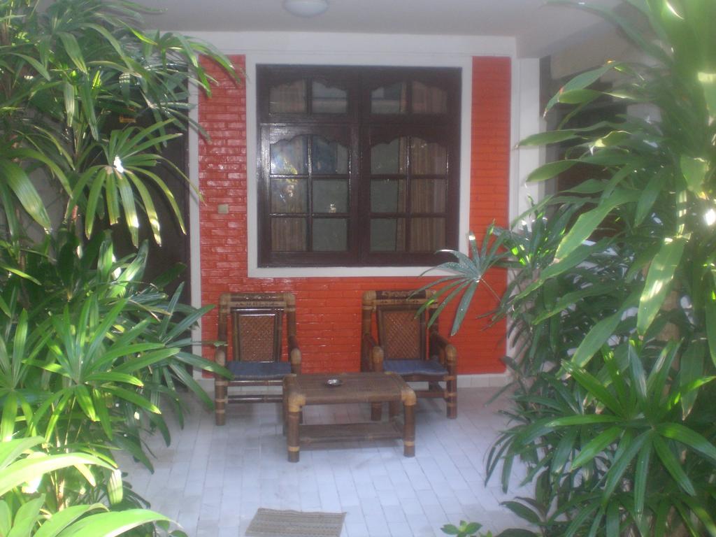 Pelasa 3*