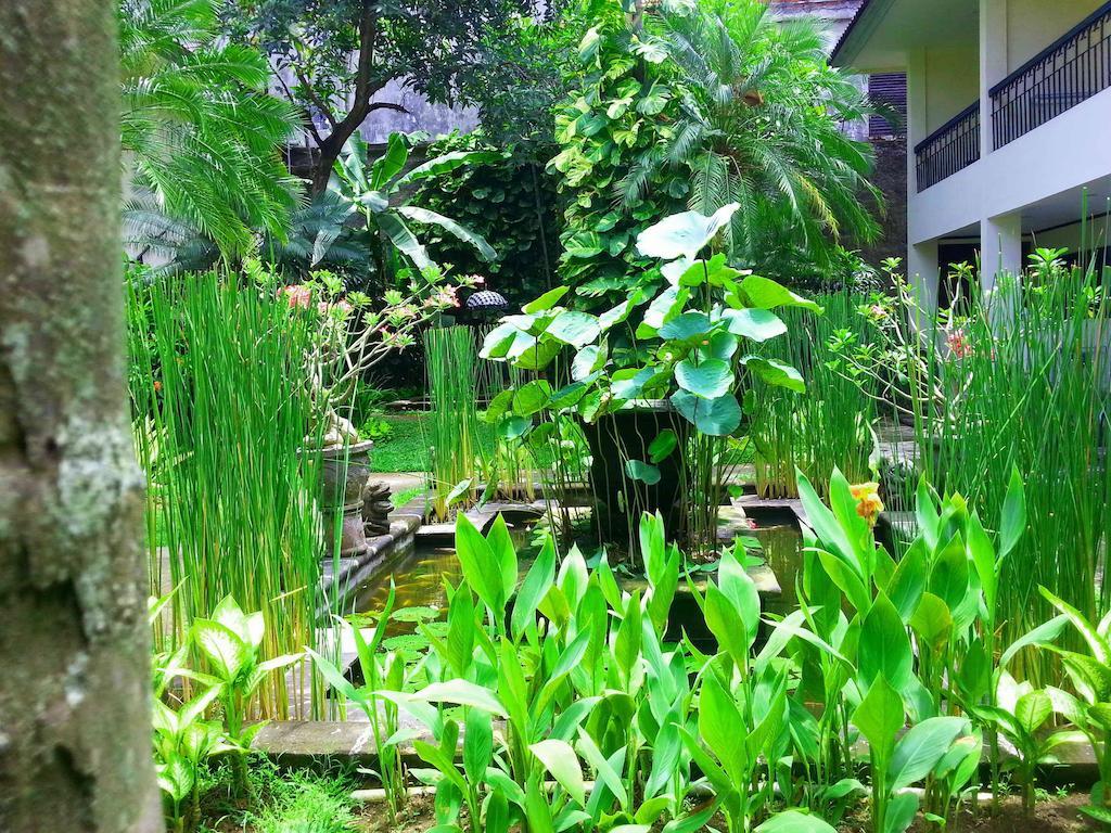 Hotel Paradiso Legian (Bali)