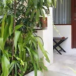 Arana Suite