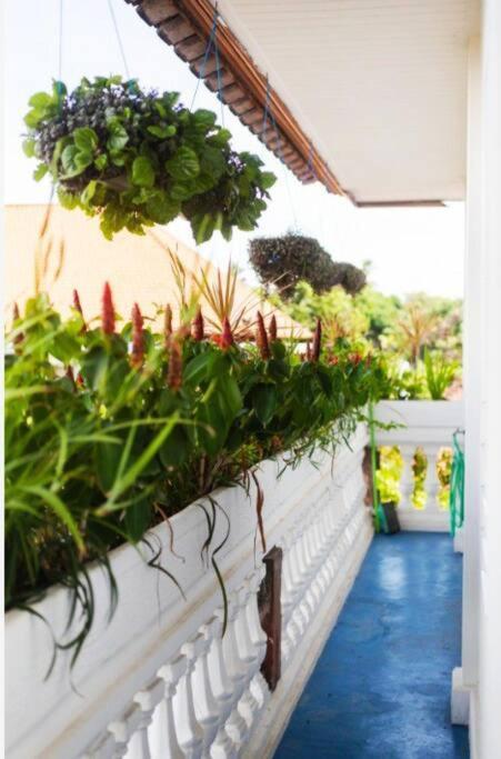 House * Legian (Bali)