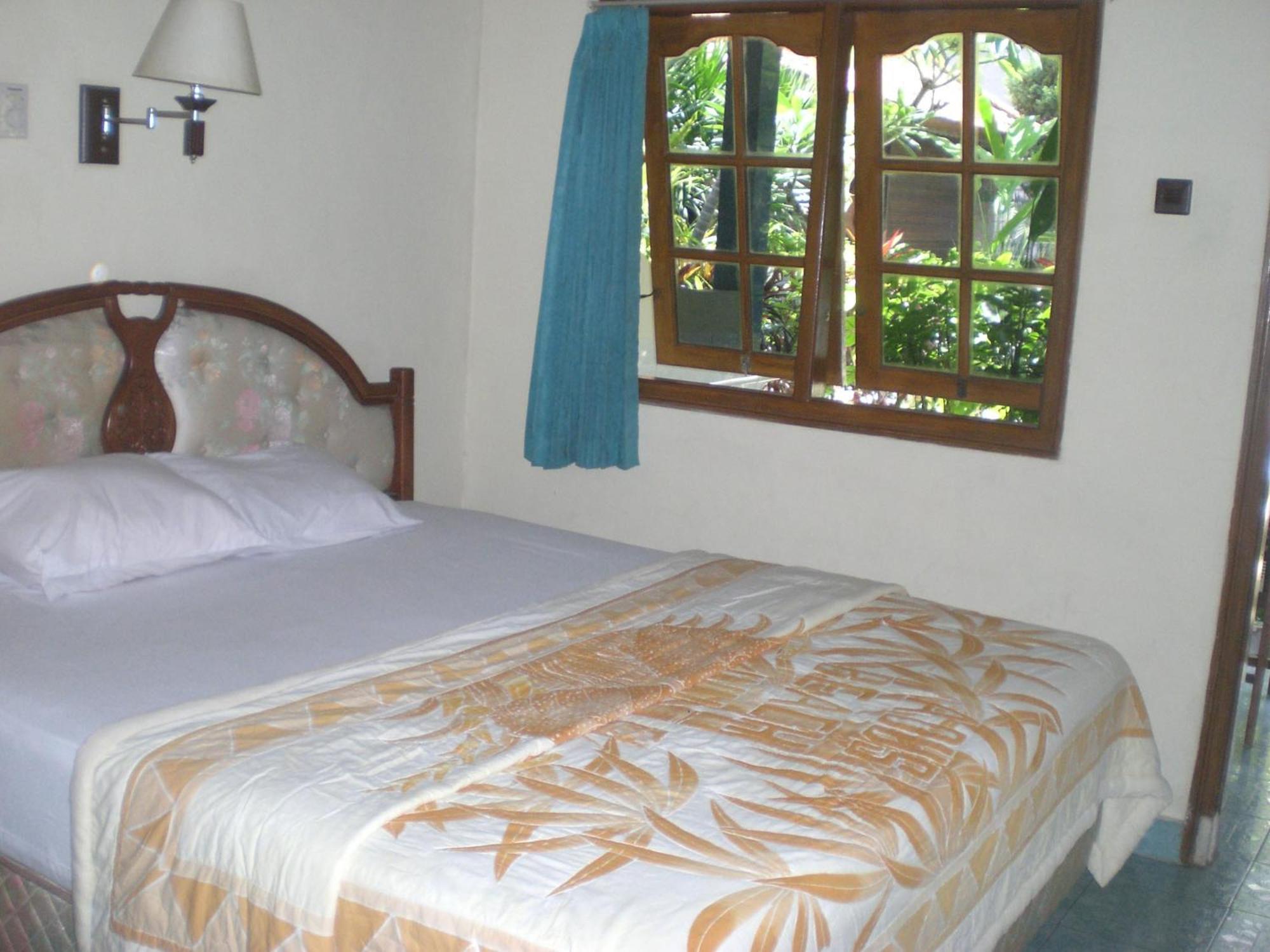 Guest house Adus