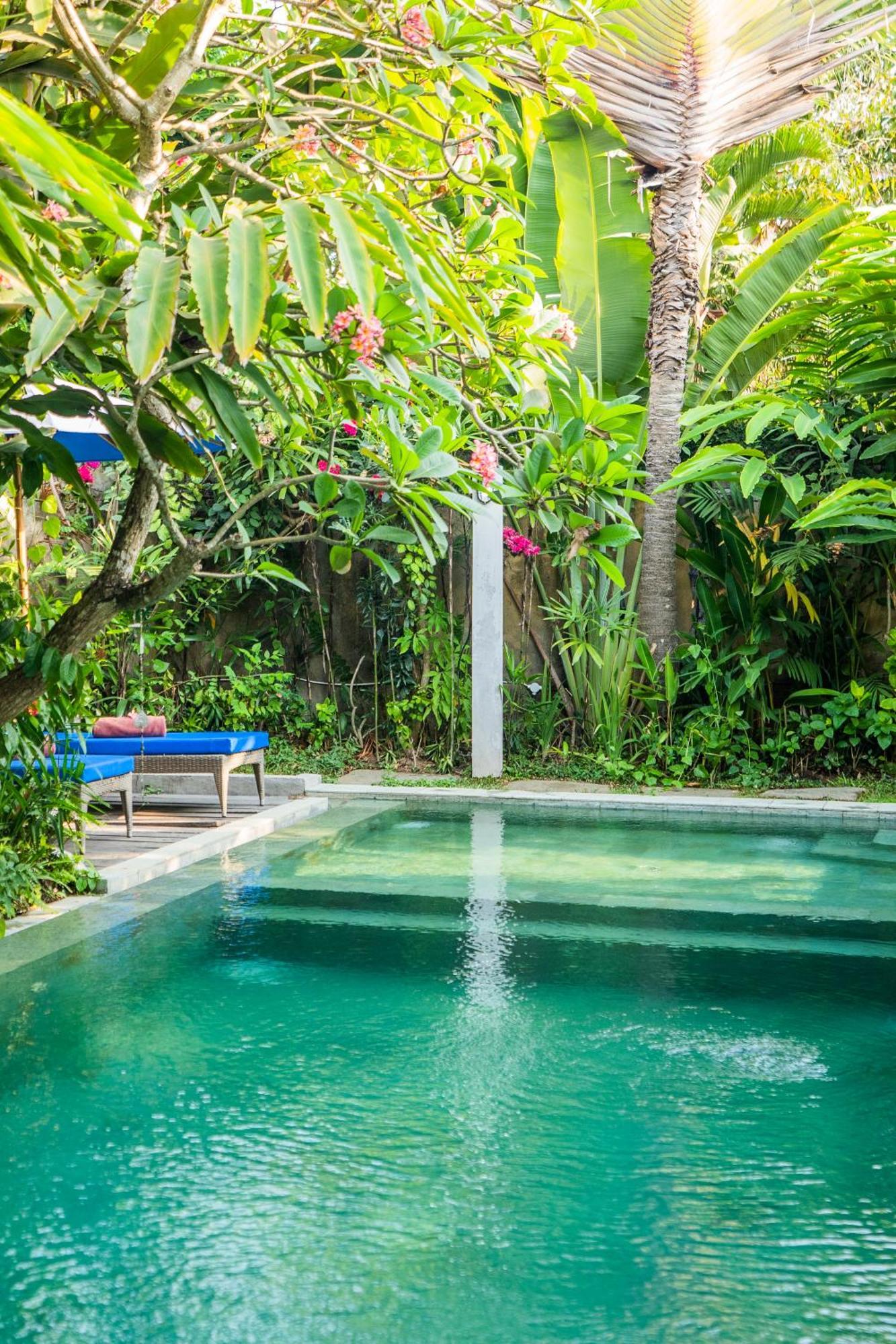 Villa Dream Near Seminyak Legian (Bali)