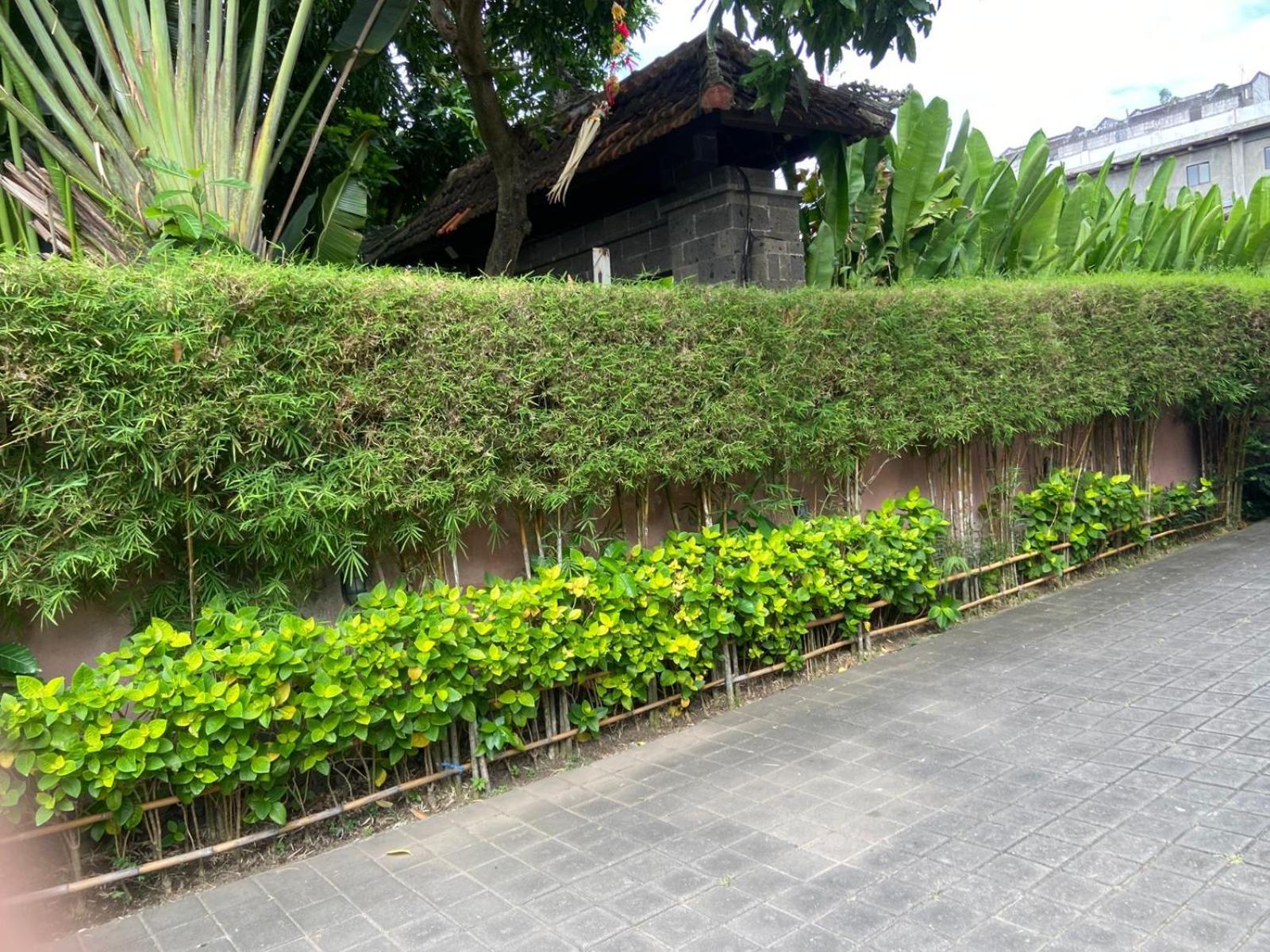 P Kuta-3minutes To The By Micky Hotel 3*