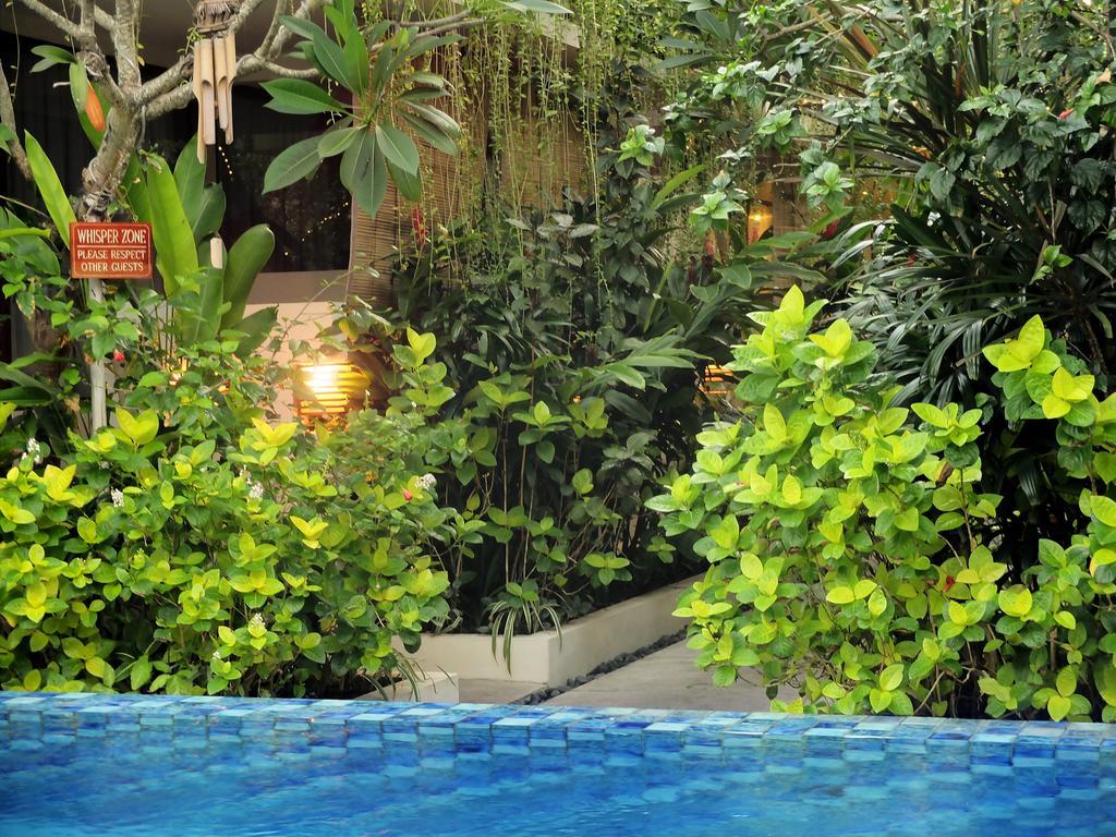Guest house Arana 3*