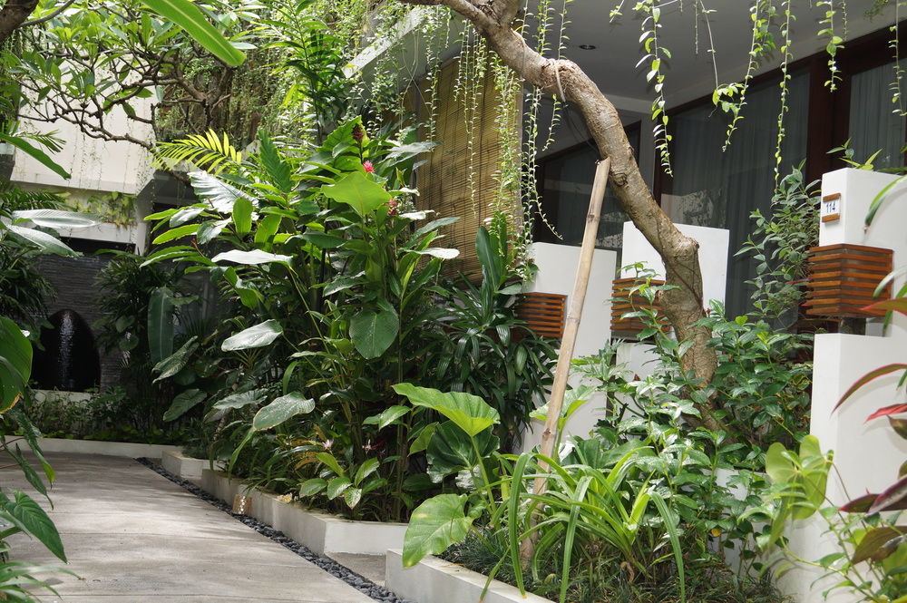 Arana Legian (Bali)