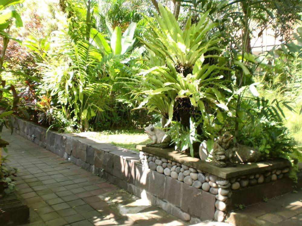 Pelasa Legian (Bali)