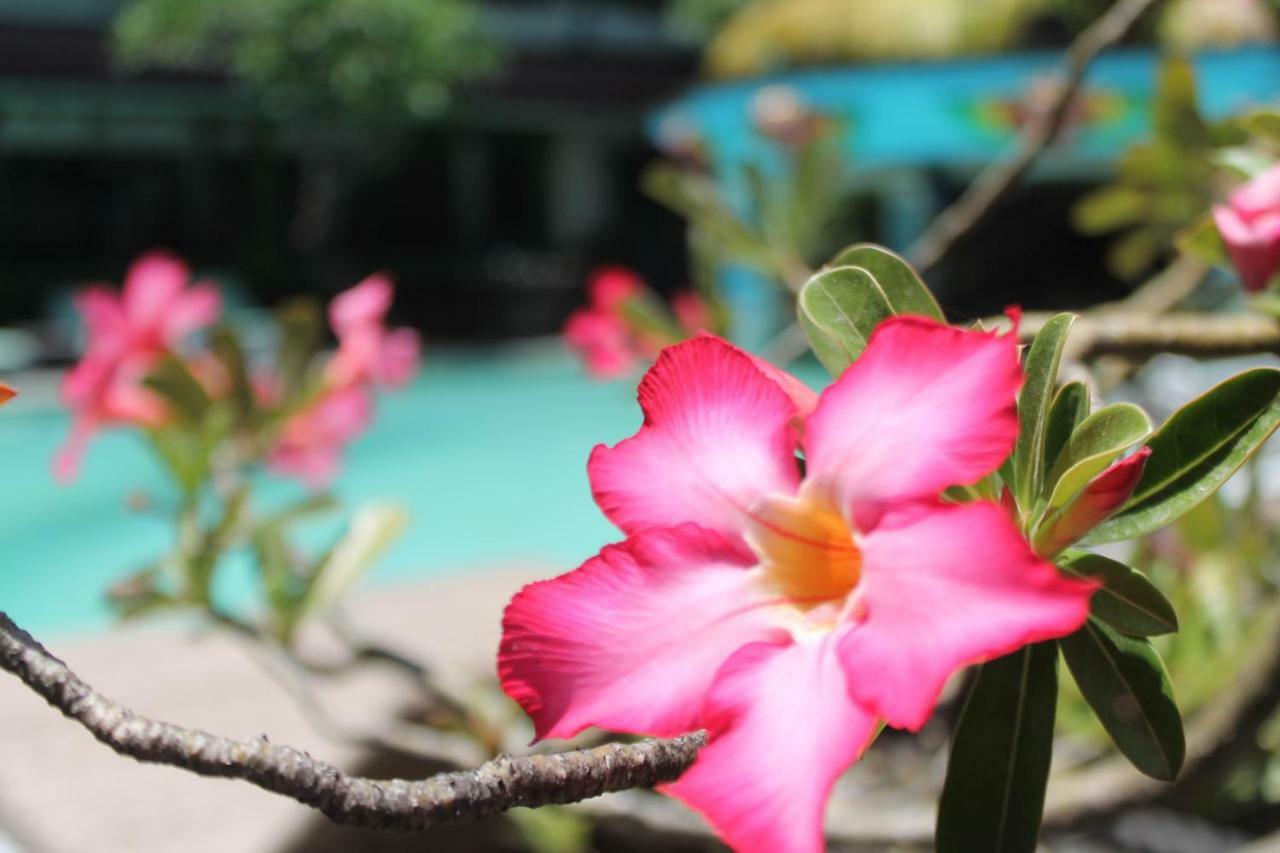 Prawita 3* Legian (Bali)