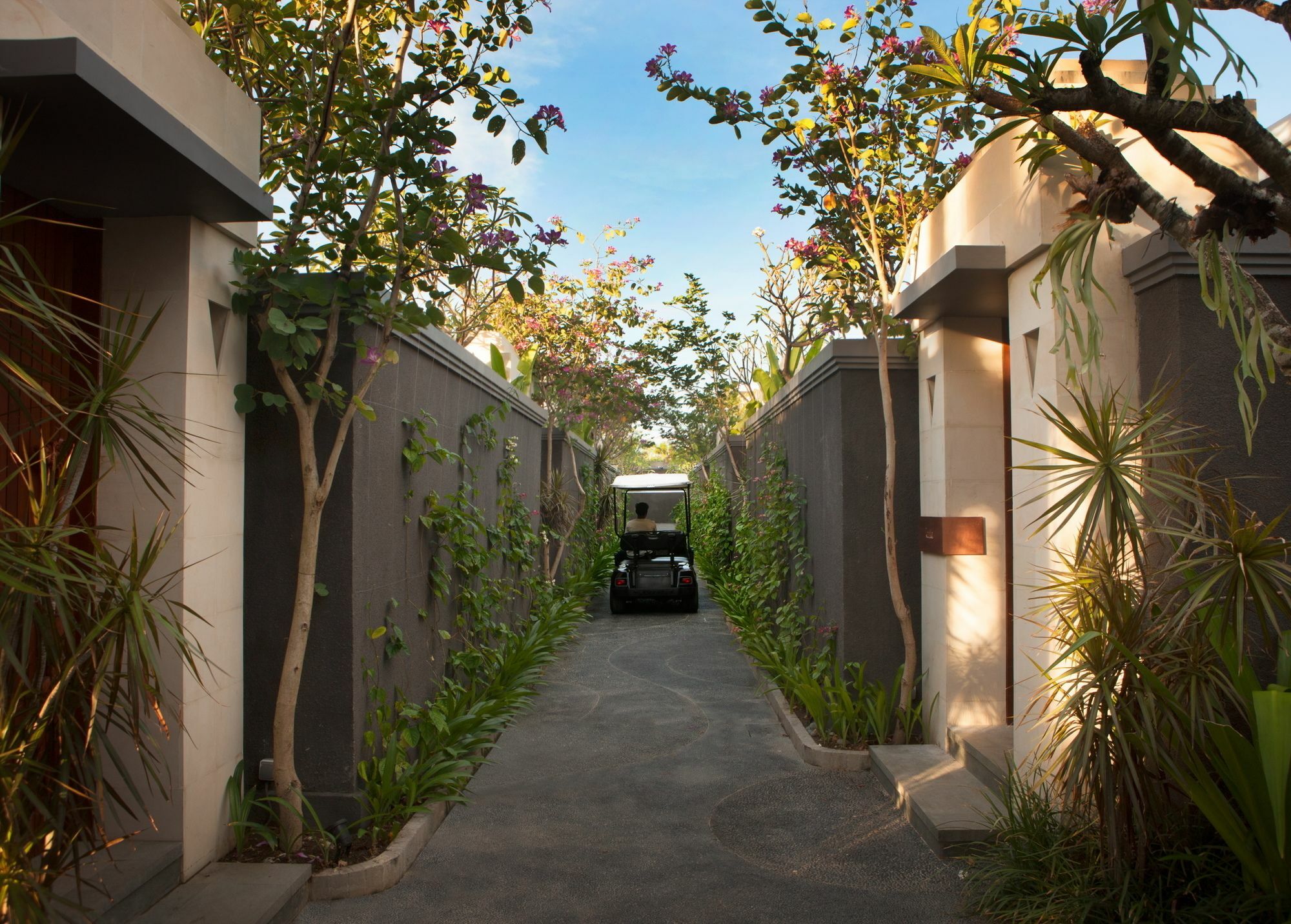 S18 Bali *