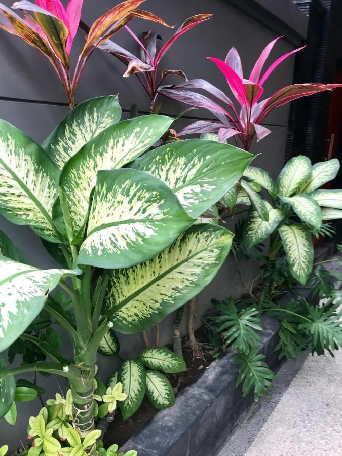 Pousada Segara