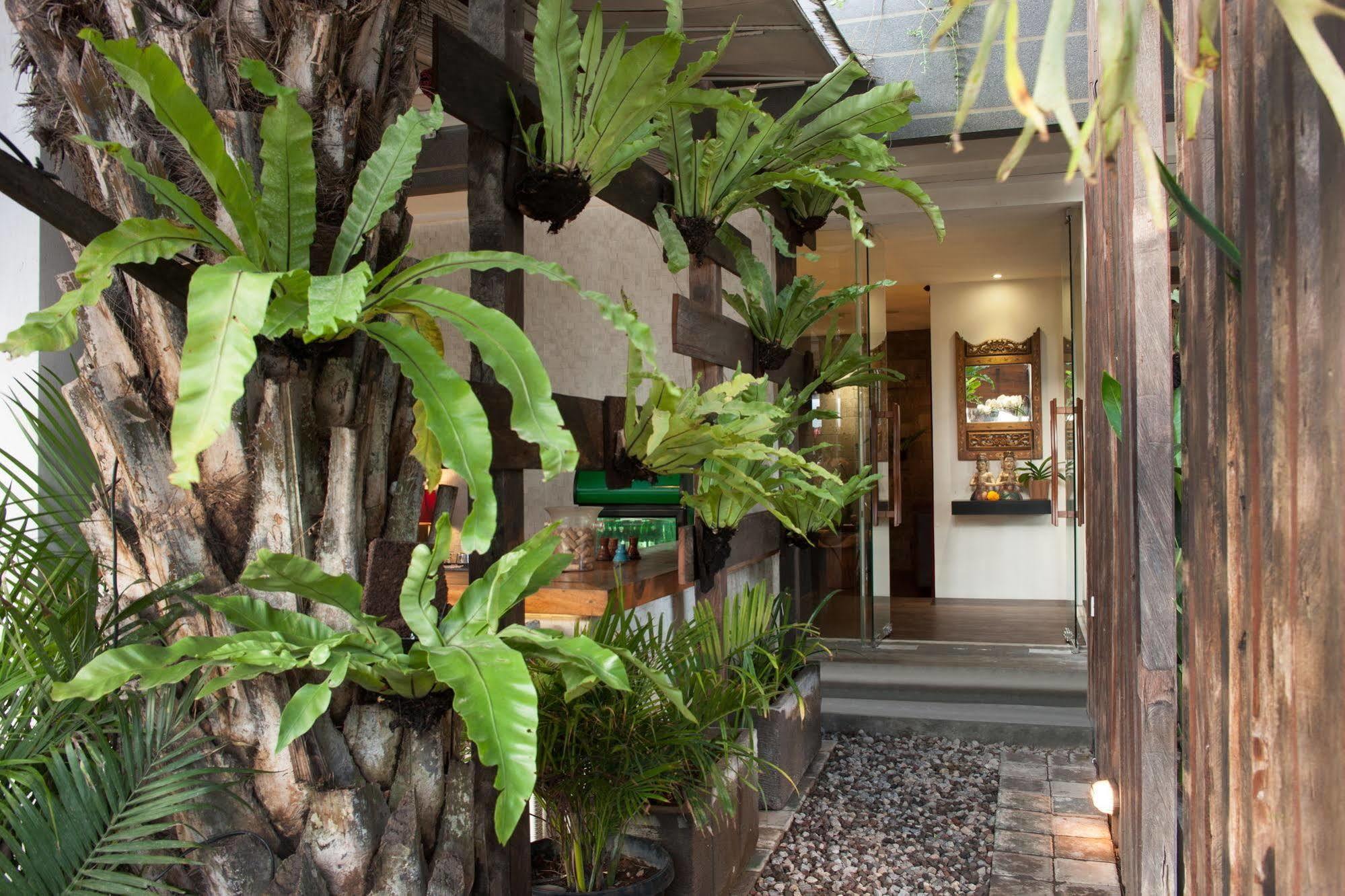 Grandmas Hotel